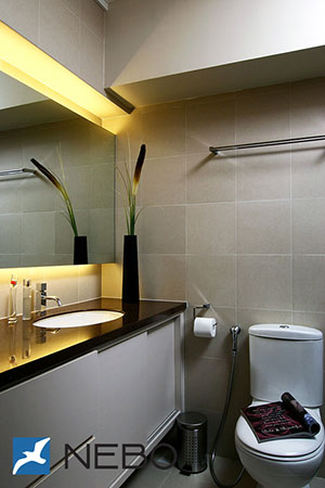 Дизайн интерьера туалета - фото